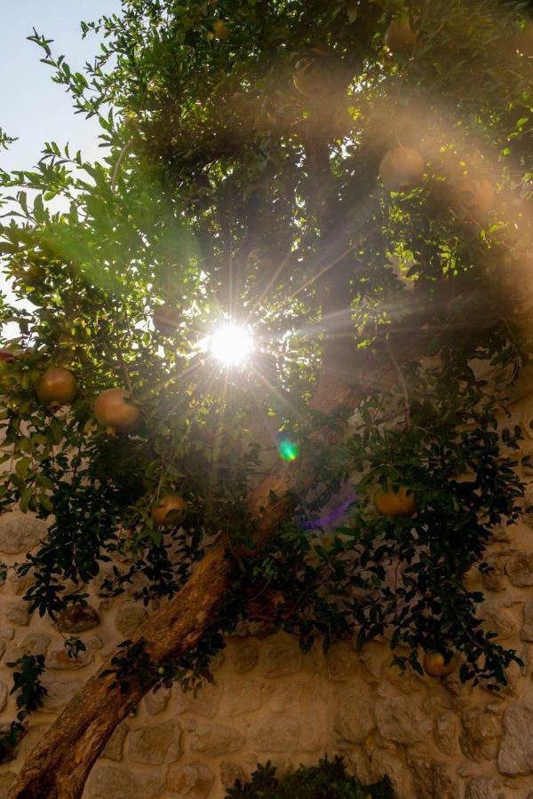 Yesil Ev Cafe & Boutique Hotel HATAY Zewnętrze zdjęcie